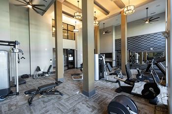 Two fully-equipped fitness centers with highly specialized technogym cardio machines, free weights and individual strength training machines